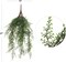 24-Pack: 24" Realistic Maidenhair Bush with 147 Tips, Floral Home by Artificial Flowers